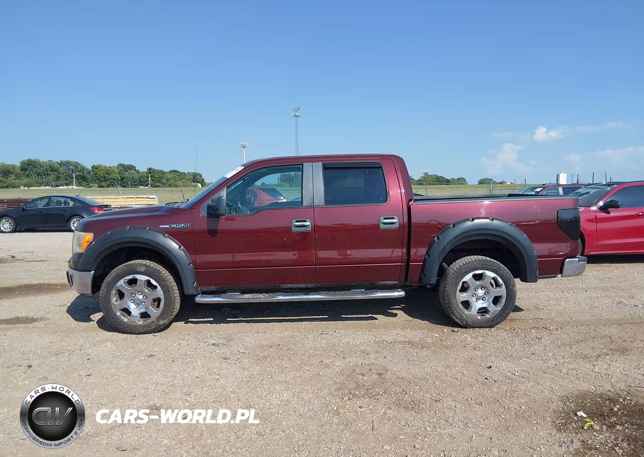 2009 Ford F-150 Fx4-King Ranch-Lariat-Platinum-Xl-Xlt VIN:1FTPW14V99FA96892 - 14