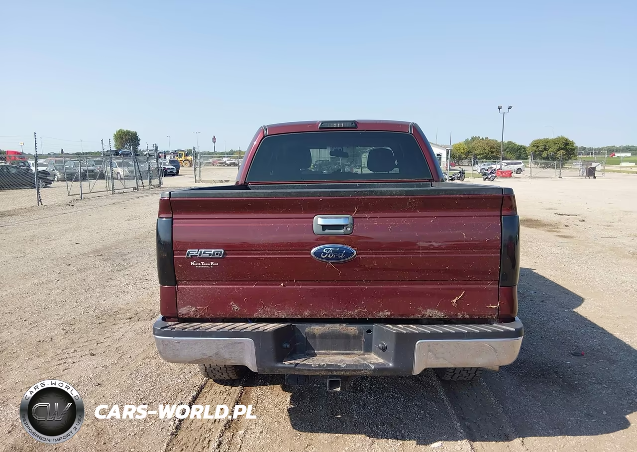 2009 Ford F-150 Fx4-King Ranch-Lariat-Platinum-Xl-Xlt VIN:1FTPW14V99FA96892 - 16