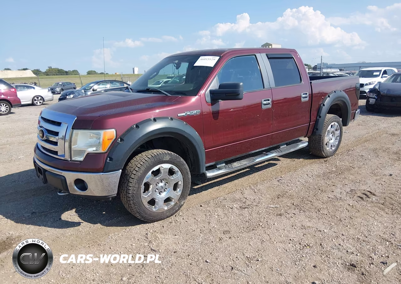 2009 Ford F-150 Fx4-King Ranch-Lariat-Platinum-Xl-Xlt VIN:1FTPW14V99FA96892 - 2
