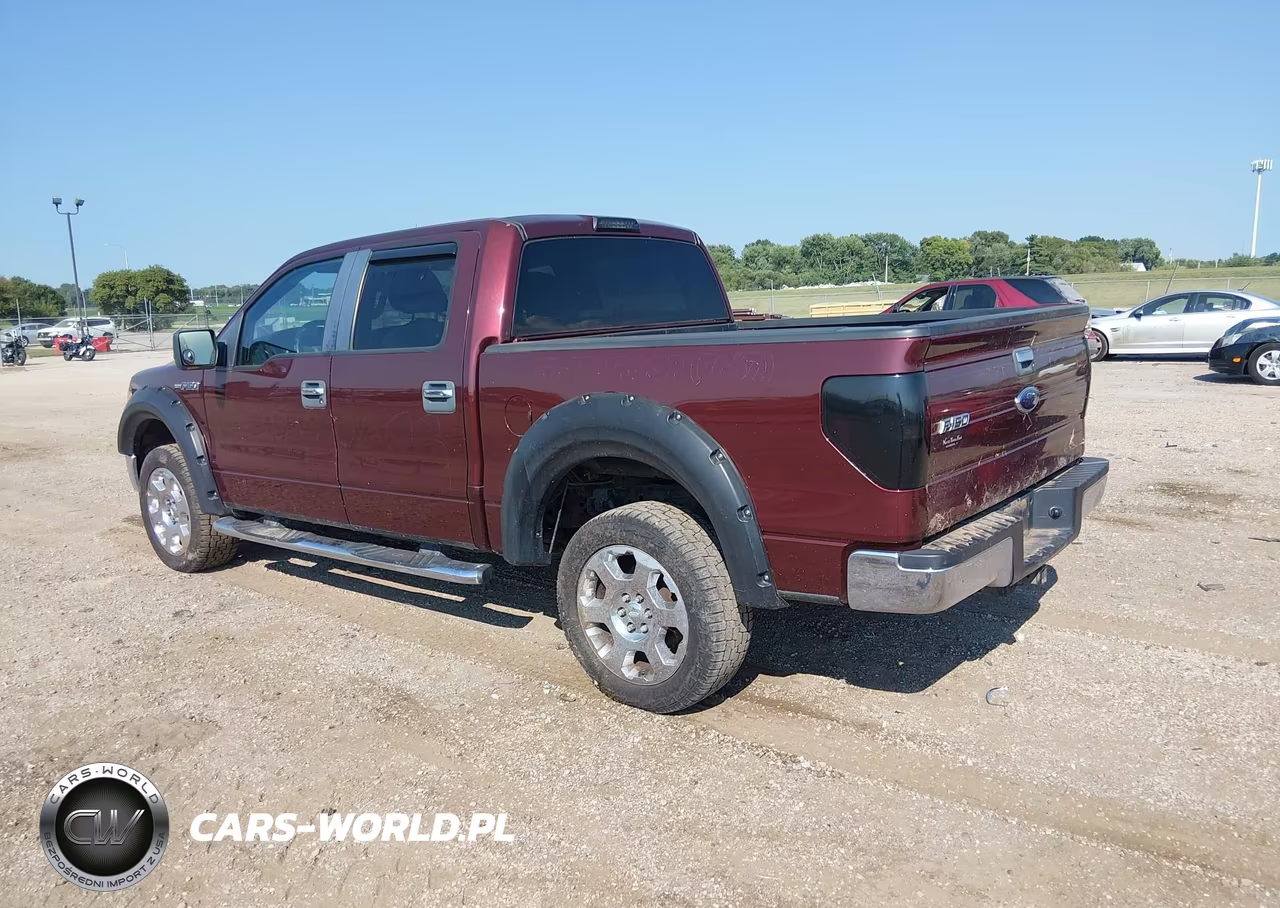 2009 Ford F-150 Fx4-King Ranch-Lariat-Platinum-Xl-Xlt VIN:1FTPW14V99FA96892 - 3