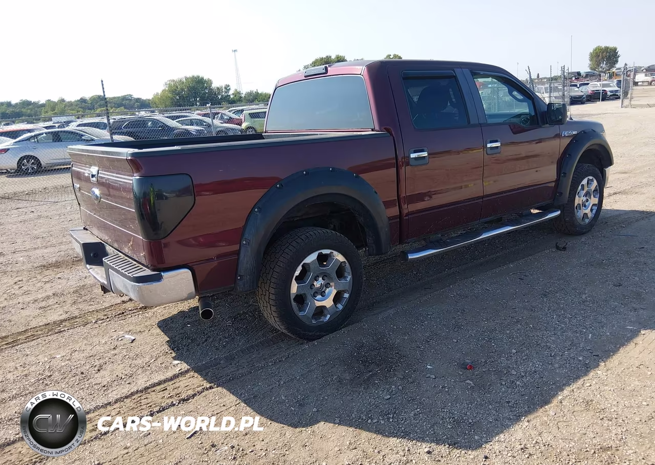 2009 Ford F-150 Fx4-King Ranch-Lariat-Platinum-Xl-Xlt VIN:1FTPW14V99FA96892 - 4