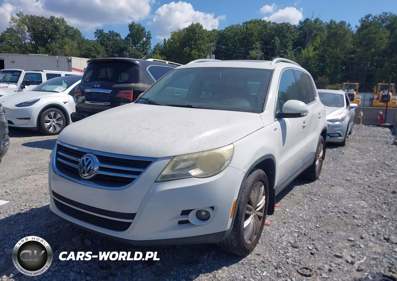 2010 Volkswagen Tiguan Wolfsburg Edition VIN:WVGAV7AX3AW003110 - 2