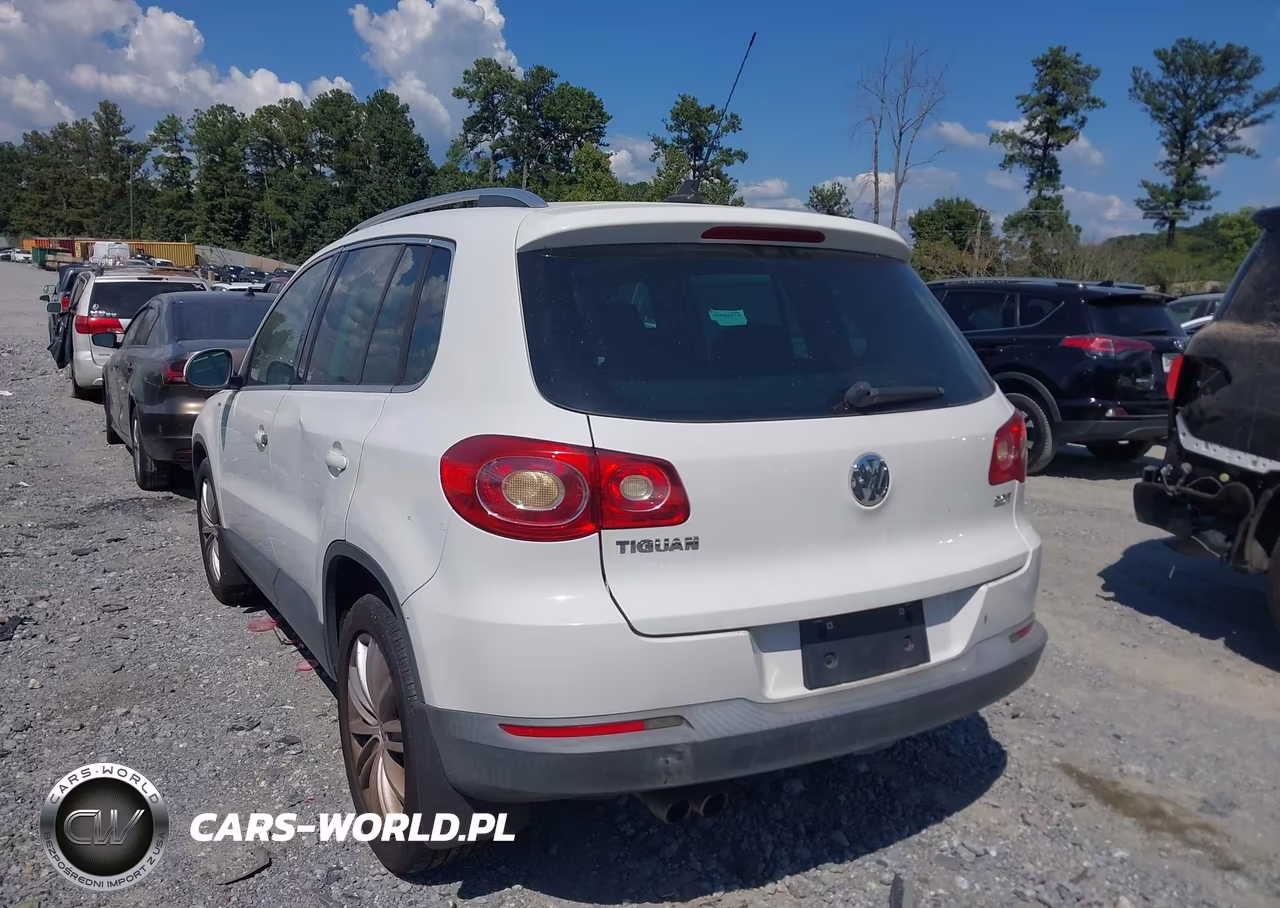 2010 Volkswagen Tiguan Wolfsburg Edition VIN:WVGAV7AX3AW003110 - 3