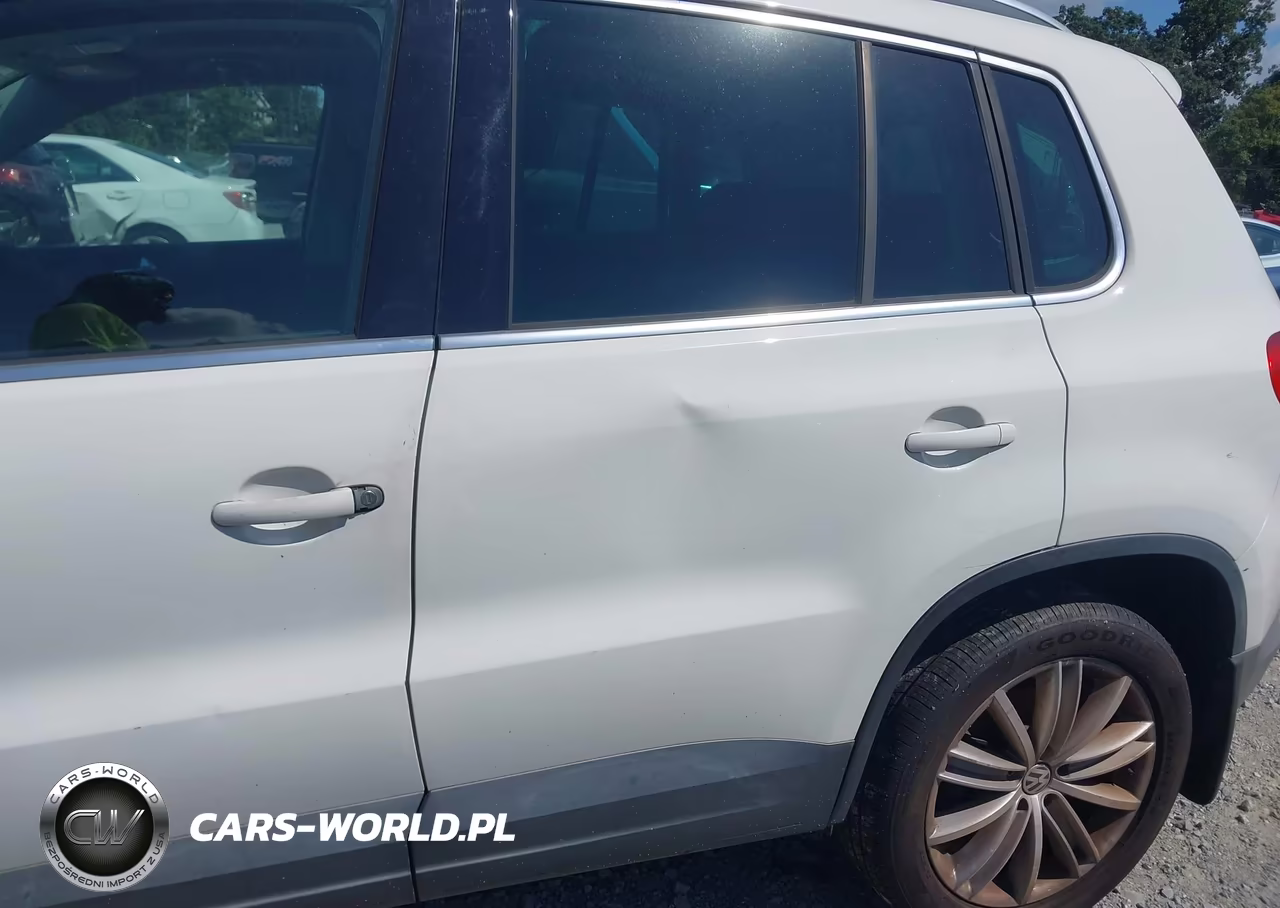 2010 Volkswagen Tiguan Wolfsburg Edition VIN:WVGAV7AX3AW003110 - 6