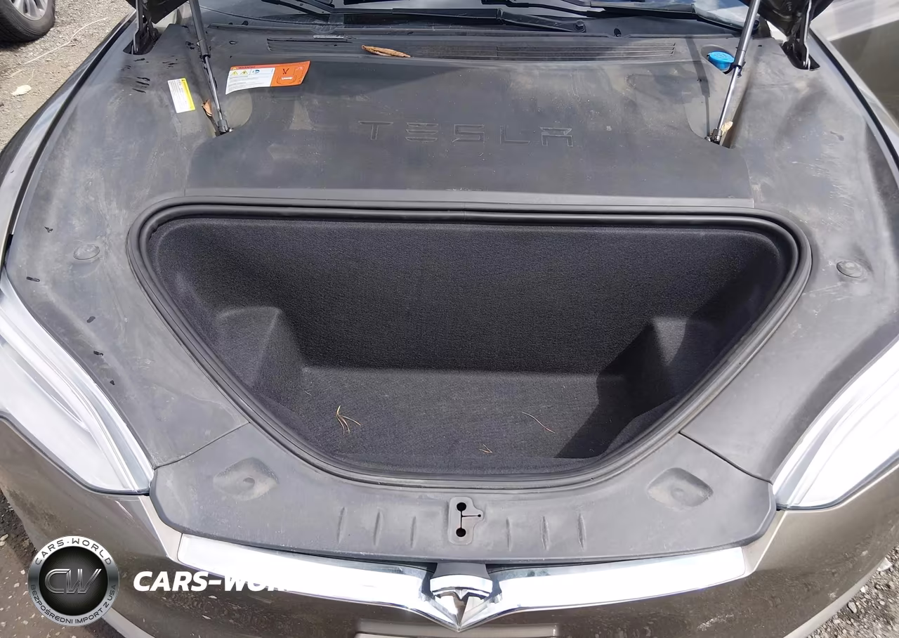2016 Tesla Model S 60D-70D-75D-85D-90D VIN:5YJSA1E28GF149757 - 10