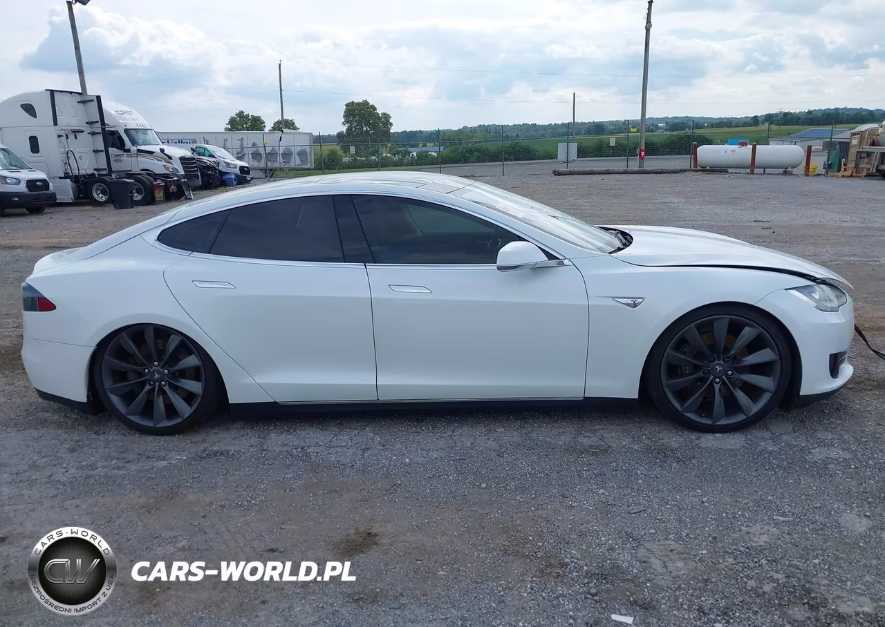 2012 Tesla Model S Performance-Signature Performance VIN:5YJSA1CP0CFP02376 - 13
