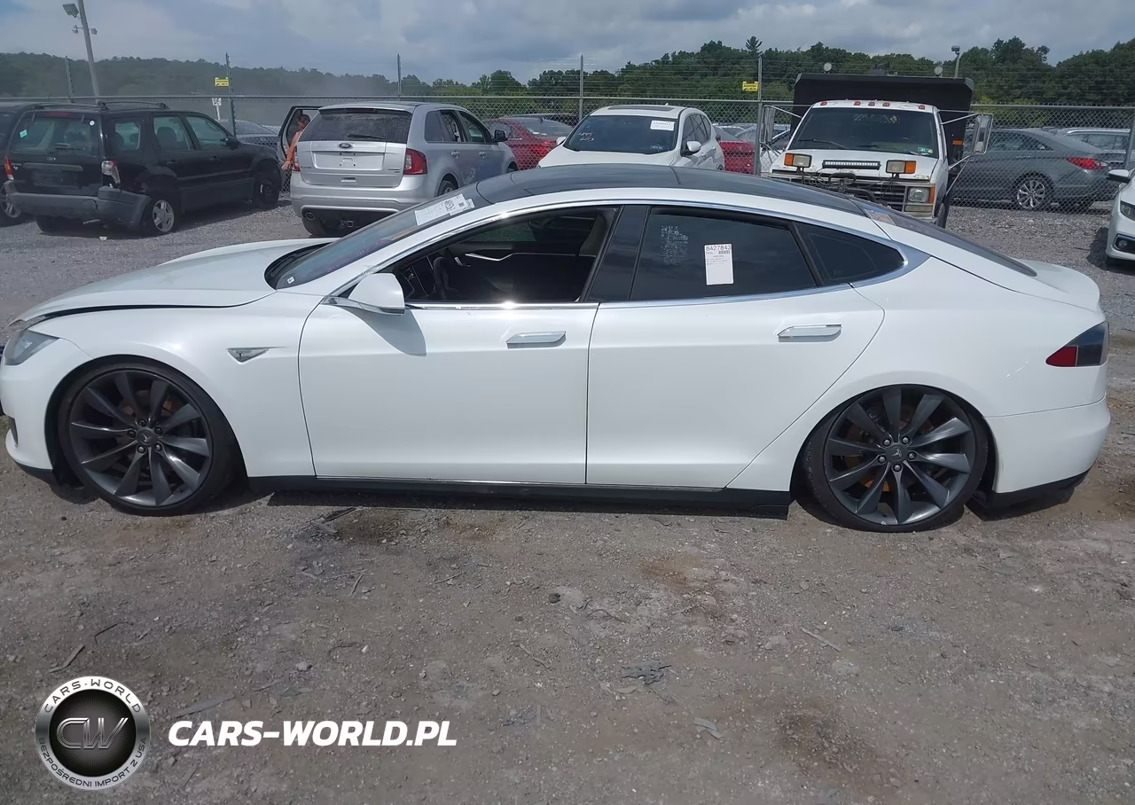 2012 Tesla Model S Performance-Signature Performance VIN:5YJSA1CP0CFP02376 - 14