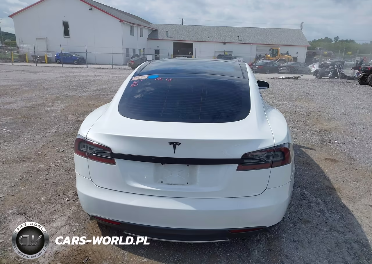 2012 Tesla Model S Performance-Signature Performance VIN:5YJSA1CP0CFP02376 - 16
