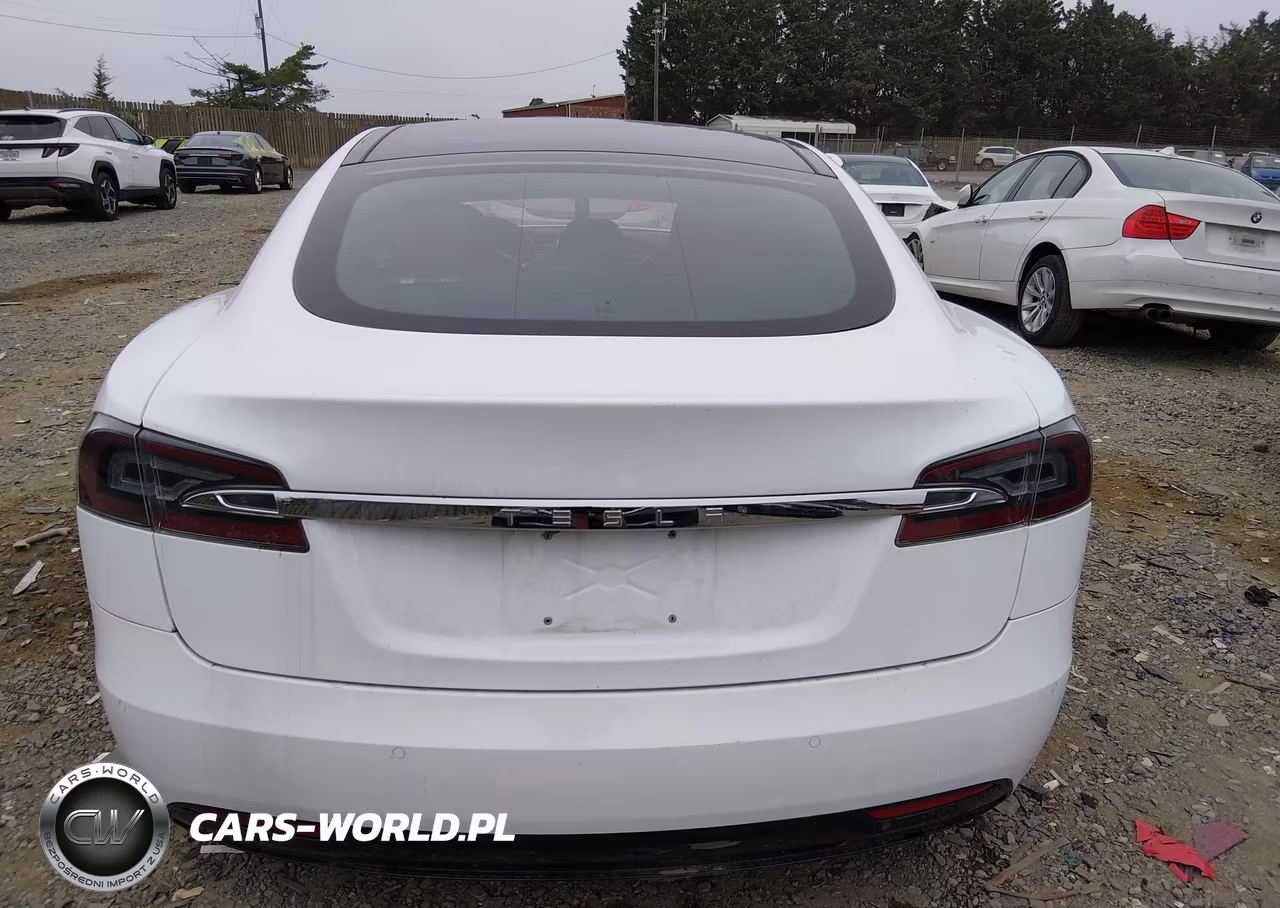 2016 Tesla Model S 60D-70D-75D-85D-90D VIN:5YJSA1E20GF151583 - 16