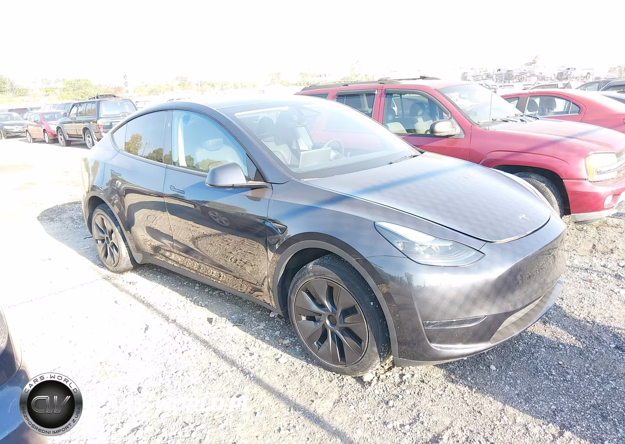 2025 Tesla Model Y Long Range Dual Motor Rear-Wheel Drive VIN:7SAYGDED2SF227571 - 1