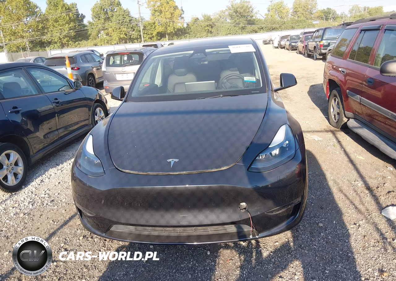 2025 Tesla Model Y Long Range Dual Motor Rear-Wheel Drive VIN:7SAYGDED2SF227571 - 12