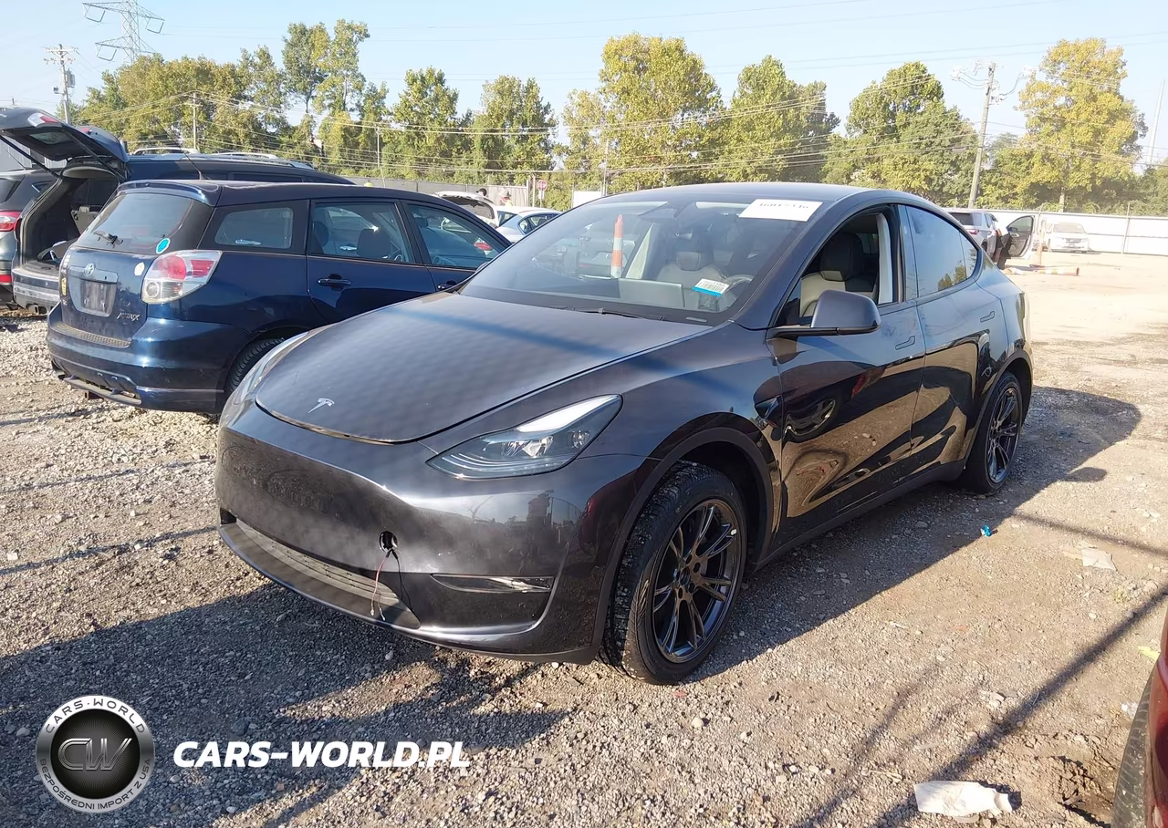 2025 Tesla Model Y Long Range Dual Motor Rear-Wheel Drive VIN:7SAYGDED2SF227571 - 2