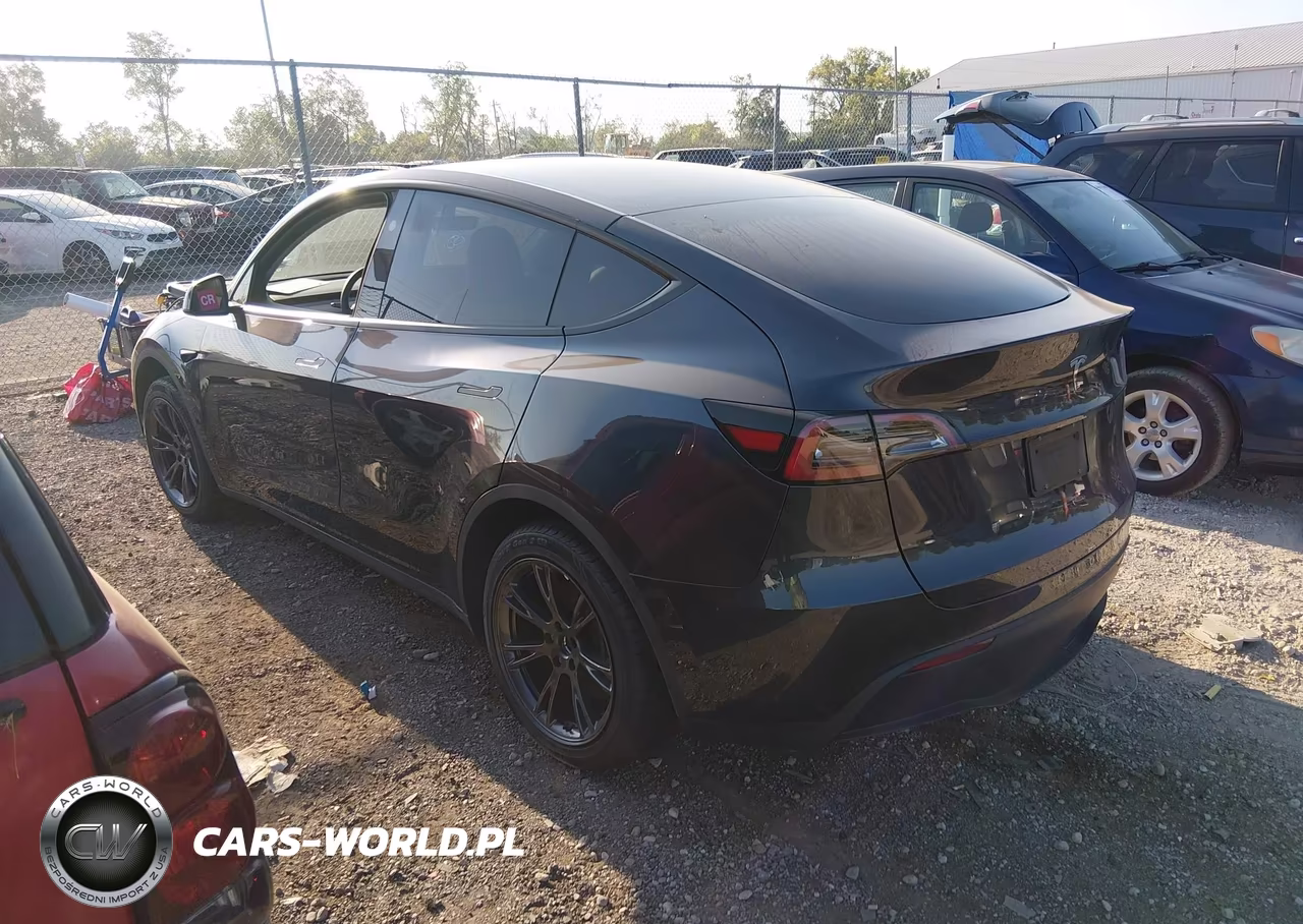 2025 Tesla Model Y Long Range Dual Motor Rear-Wheel Drive VIN:7SAYGDED2SF227571 - 3