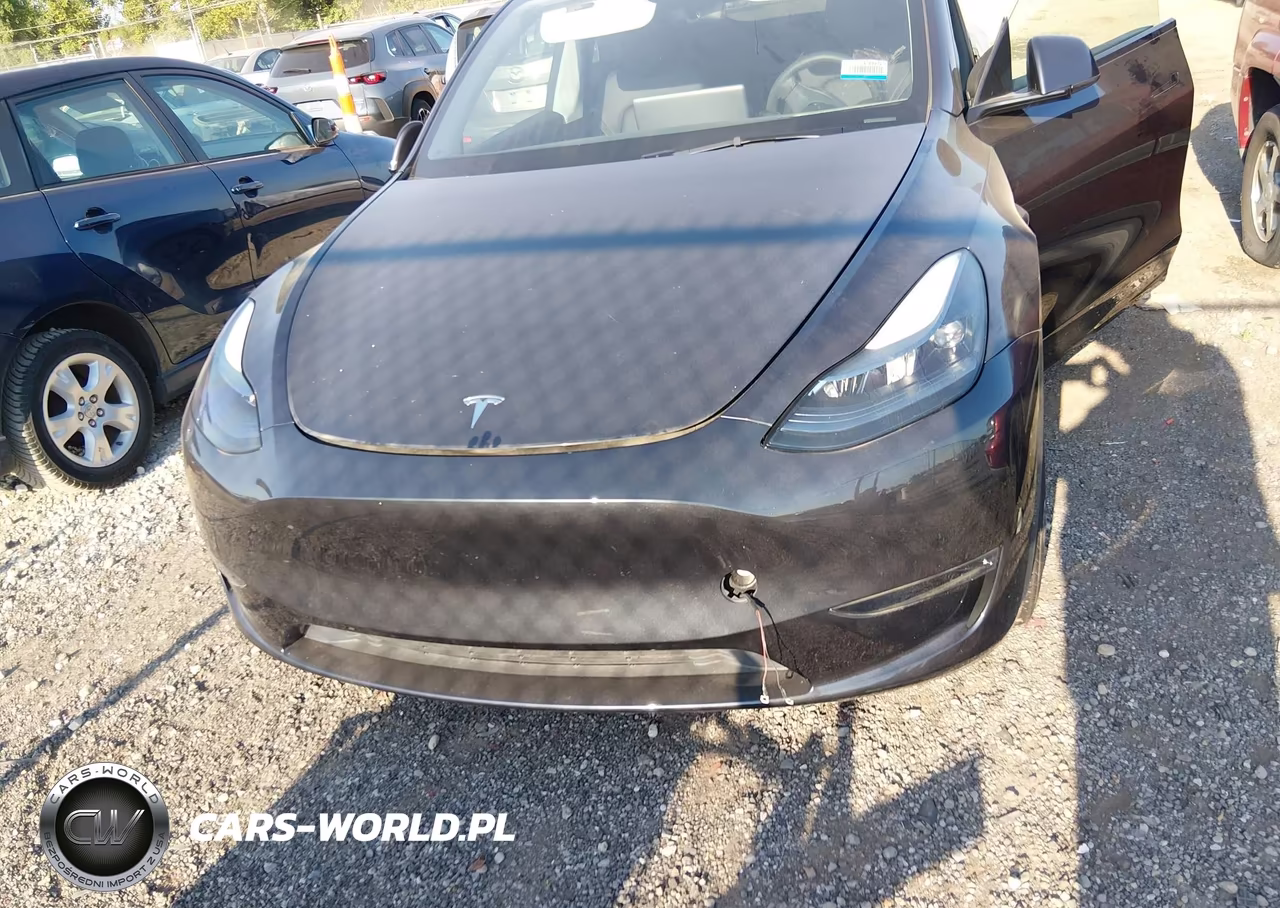 2025 Tesla Model Y Long Range Dual Motor Rear-Wheel Drive VIN:7SAYGDED2SF227571 - 6