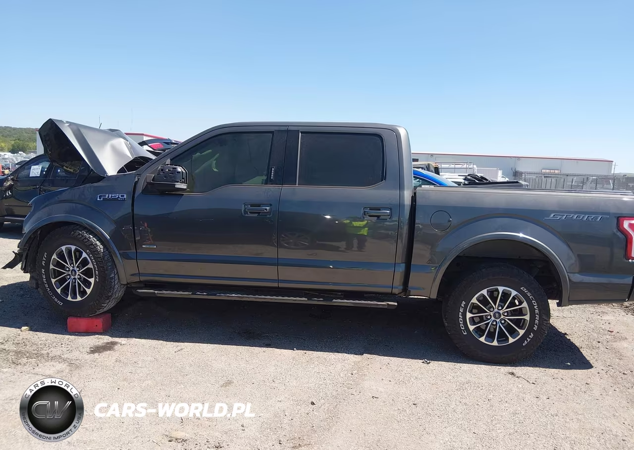 2015 Ford F-150 Xlt VIN:1FTEW1CG7FKD77019 - 15