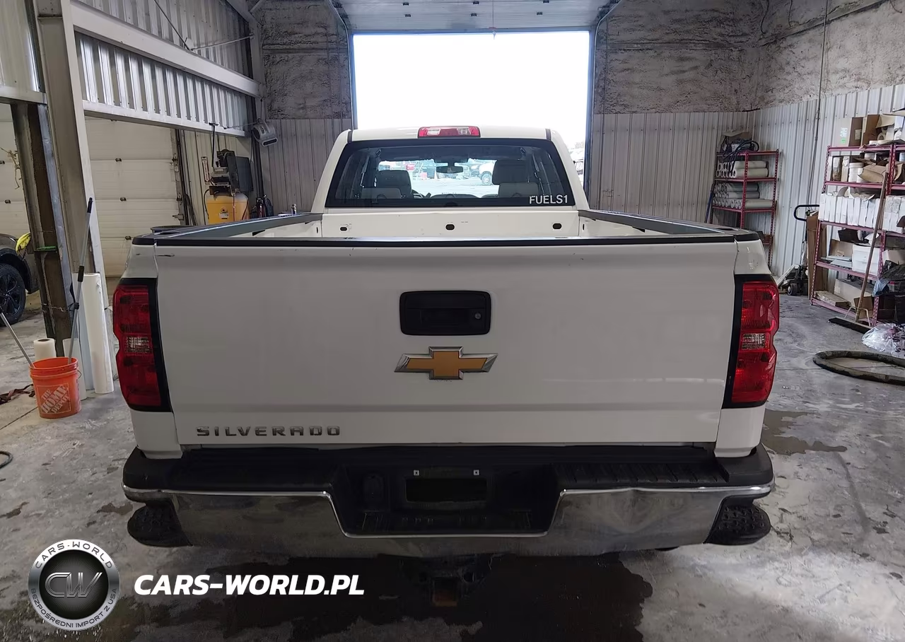 2018 Chevrolet Silverado 2500Hd Wt VIN:1GC1KUEG1JF254889 - 17