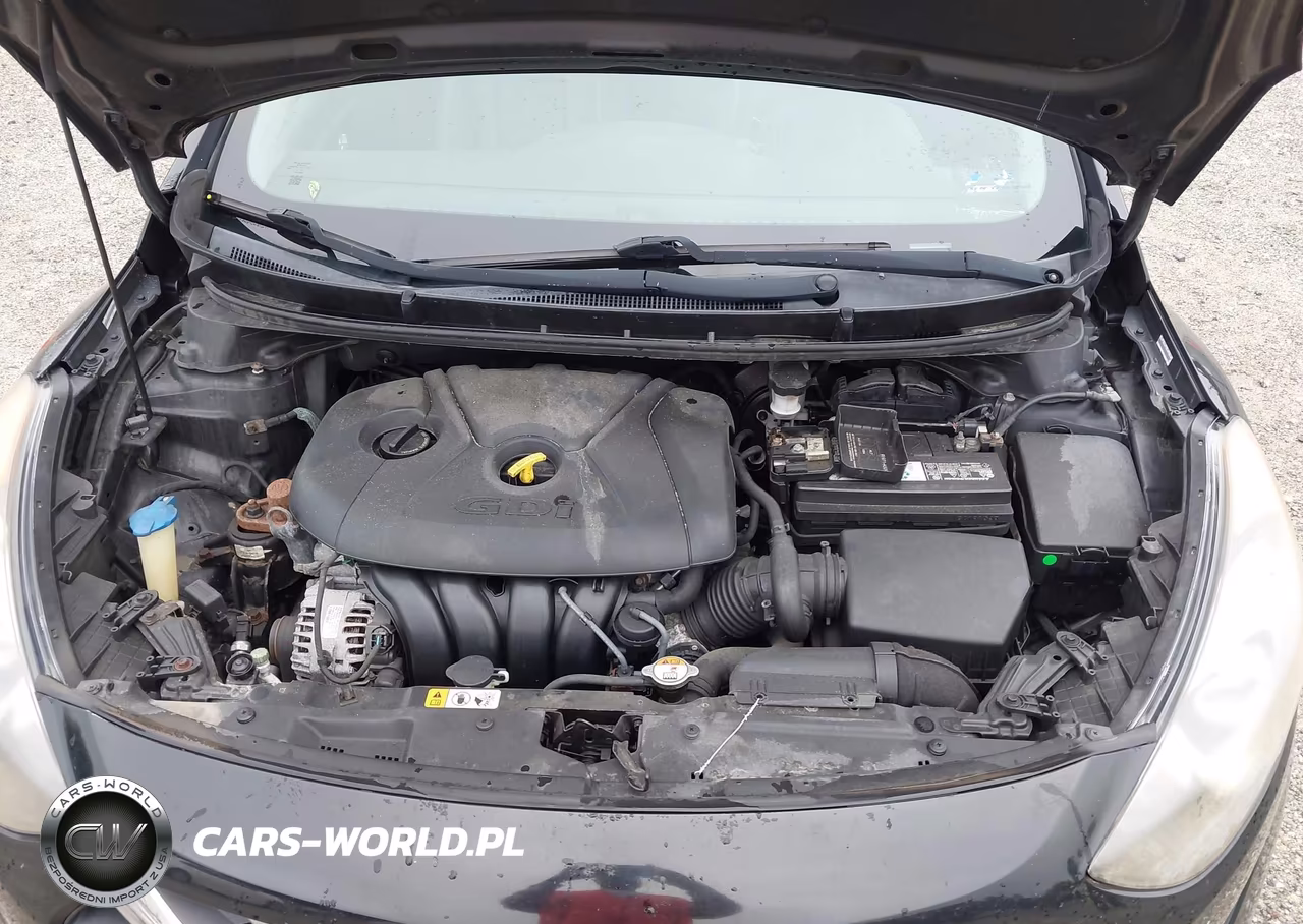 2014 Hyundai Elantra Gt VIN:KMHD35LH1EU196131 - 10