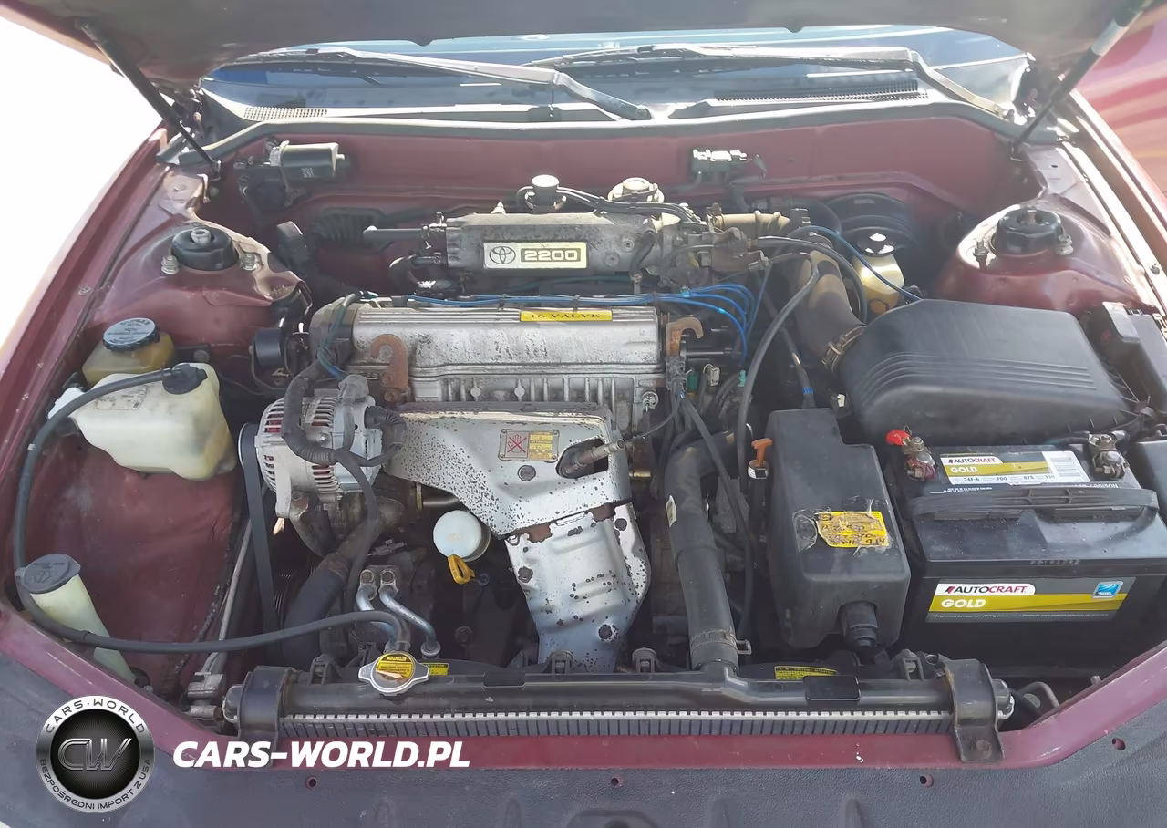 1994 Toyota Camry Le VIN:4T1SK12E6RU334066 - 10