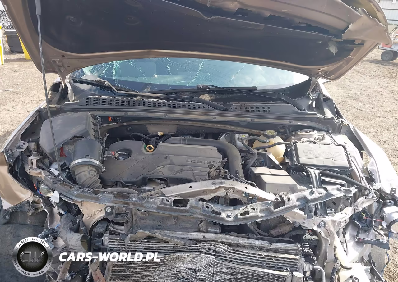 2019 Chevrolet Malibu Lt VIN:1G1ZD5ST0KF176748 - 10