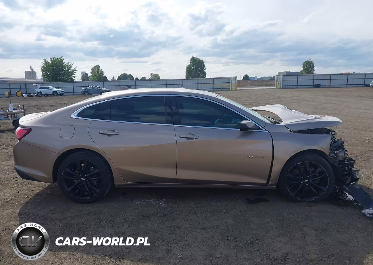 2019 Chevrolet Malibu Lt VIN:1G1ZD5ST0KF176748 - 13