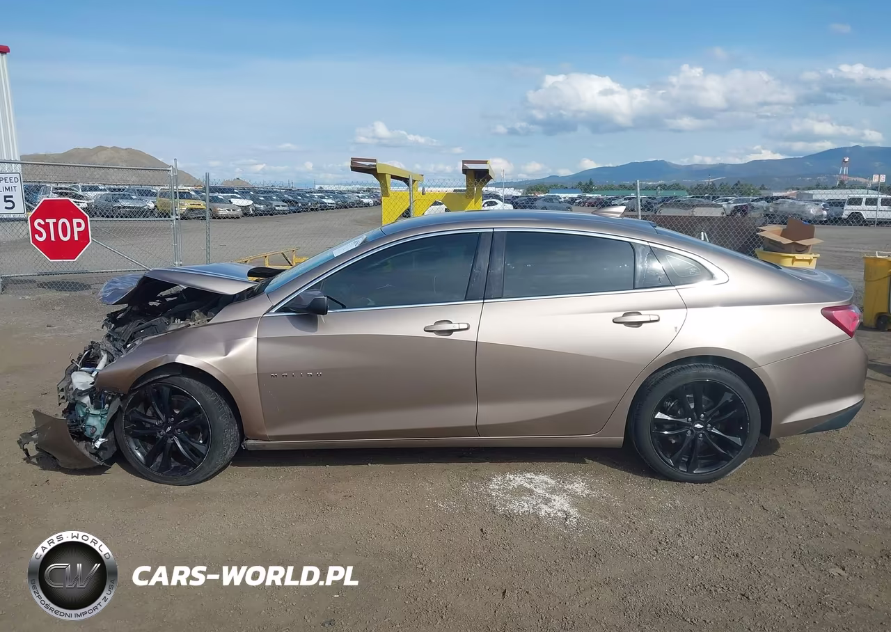 2019 Chevrolet Malibu Lt VIN:1G1ZD5ST0KF176748 - 14