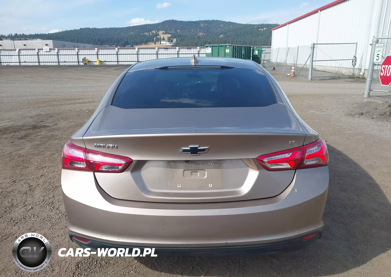 2019 Chevrolet Malibu Lt VIN:1G1ZD5ST0KF176748 - 16