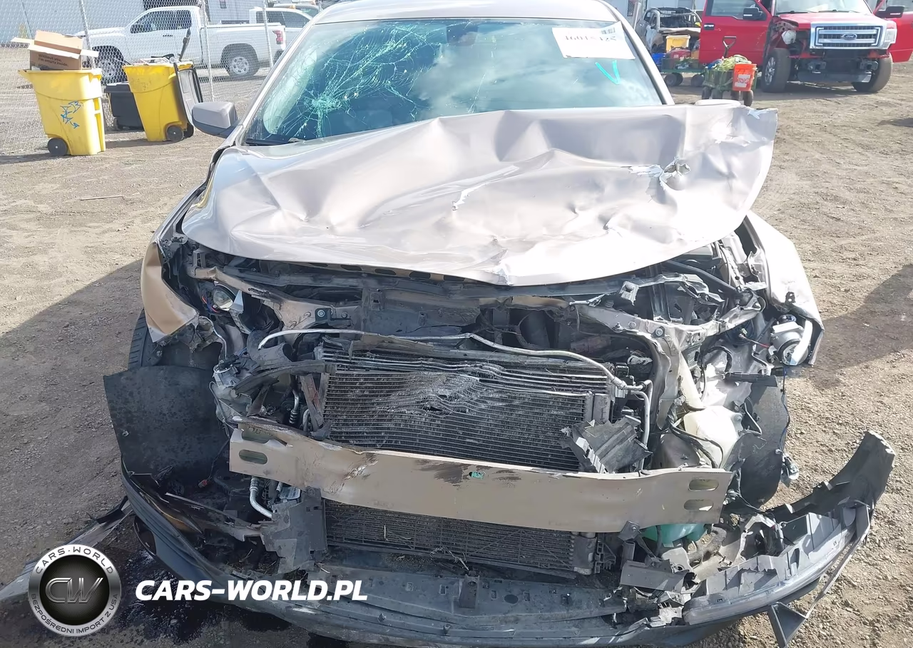 2019 Chevrolet Malibu Lt VIN:1G1ZD5ST0KF176748 - 18