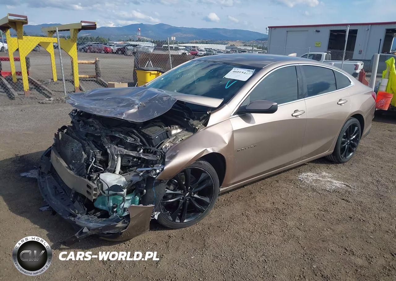 2019 Chevrolet Malibu Lt VIN:1G1ZD5ST0KF176748 - 2