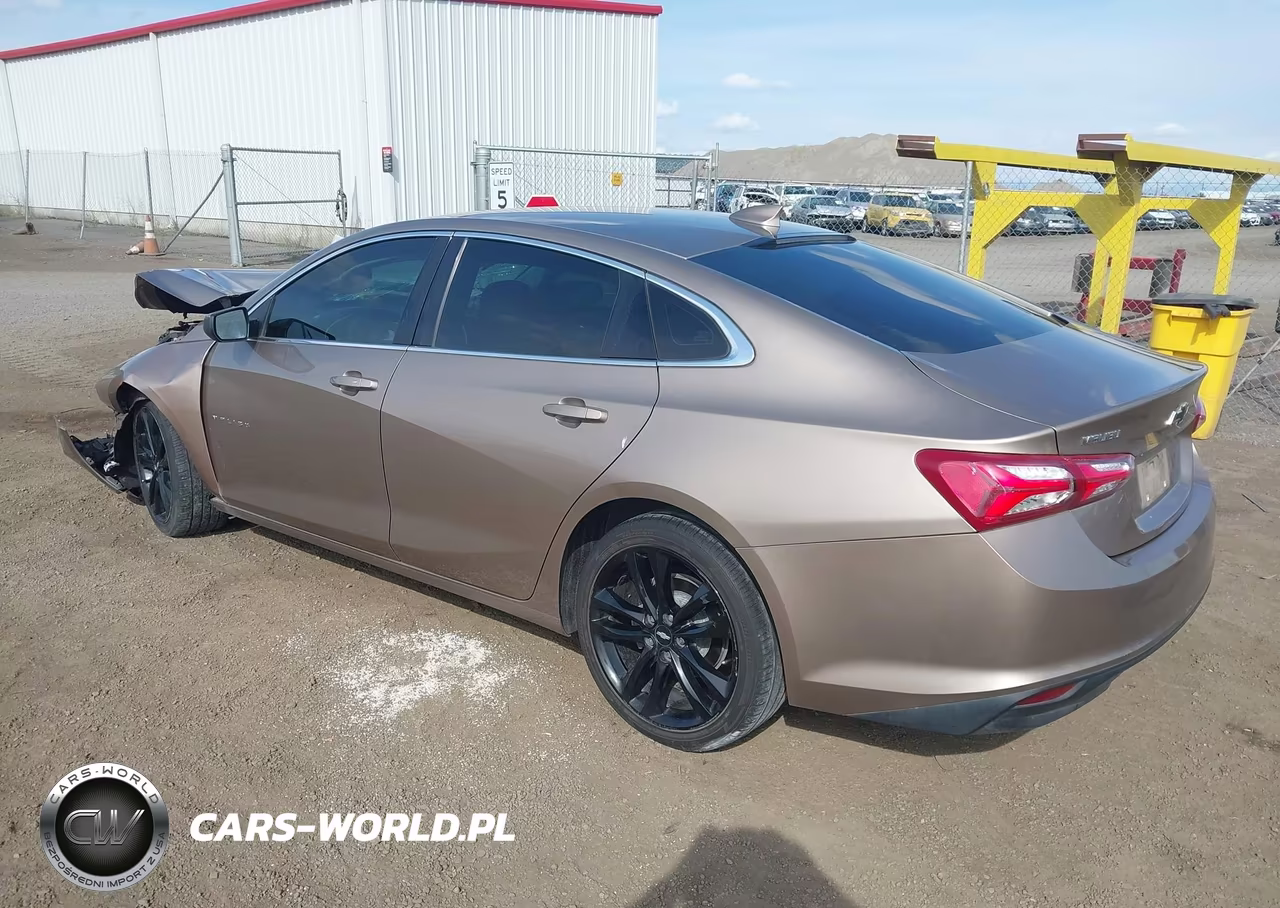 2019 Chevrolet Malibu Lt VIN:1G1ZD5ST0KF176748 - 3