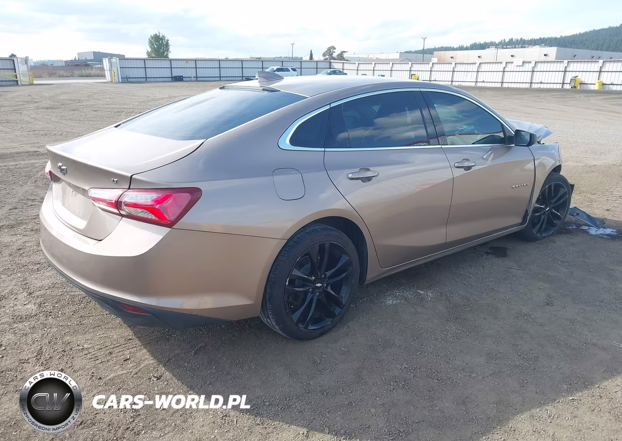 2019 Chevrolet Malibu Lt VIN:1G1ZD5ST0KF176748 - 4