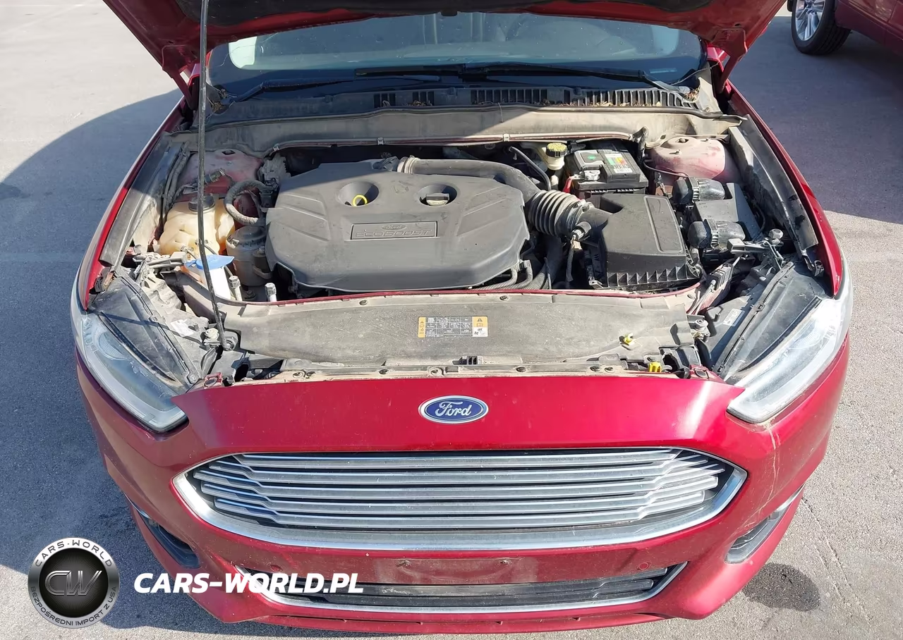 2014 Ford Fusion Titanium VIN:3FA6P0K93ER104657 - 10