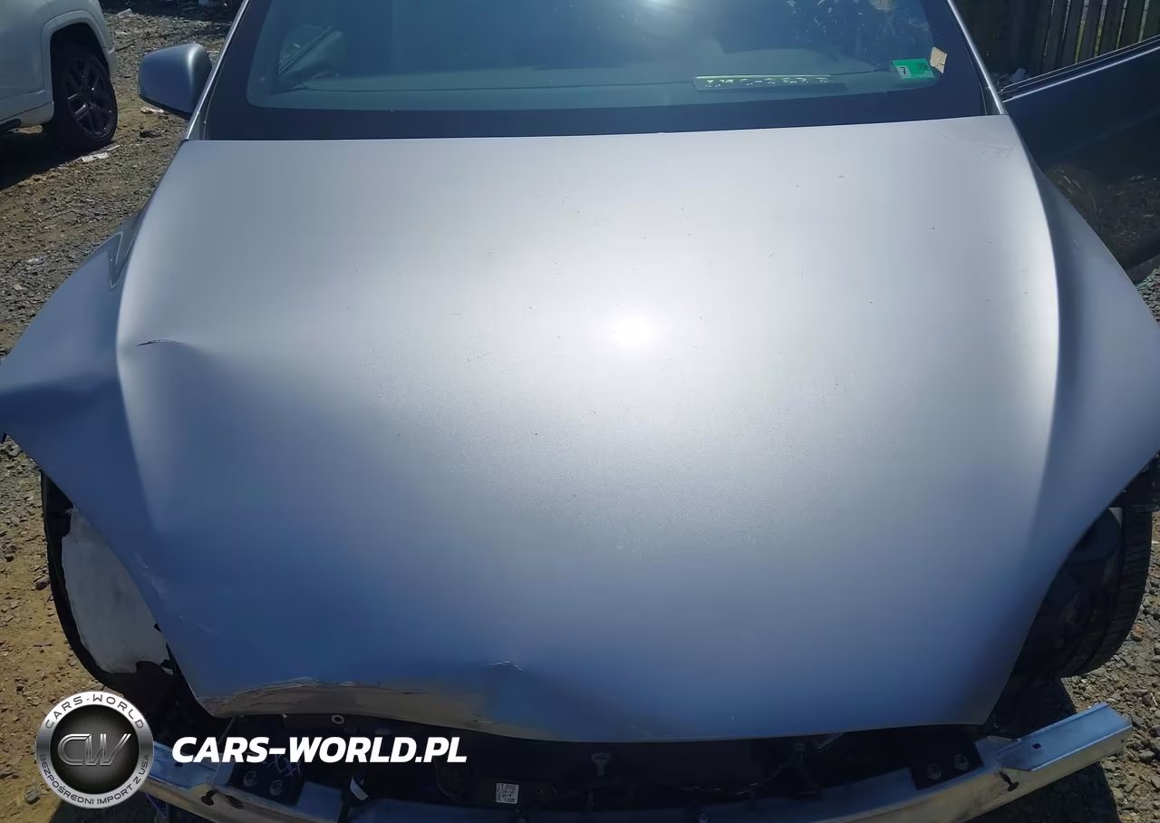 2025 Tesla Model X Long Range VIN:7SAXCDE55SF462644 - 10