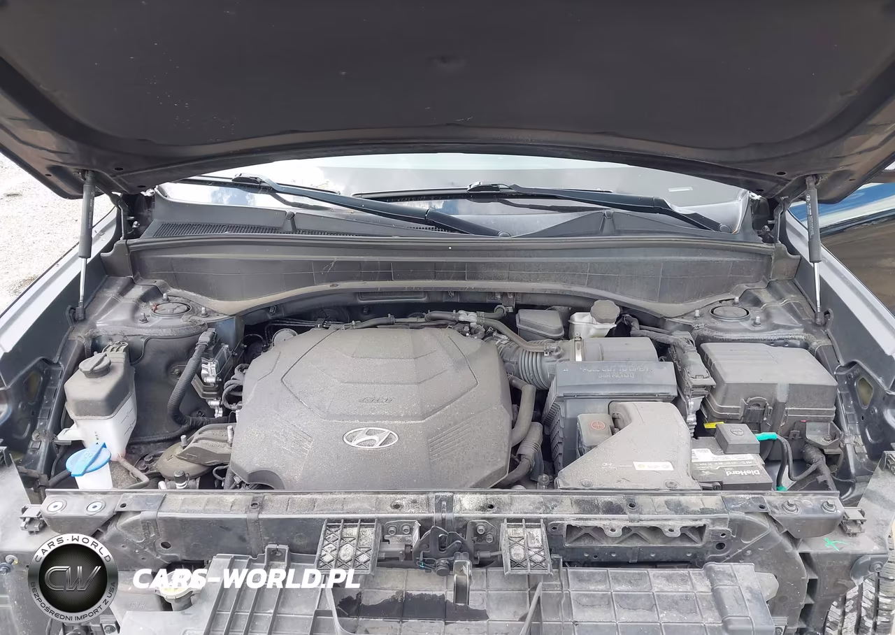 2023 Hyundai Palisade Xrt VIN:KM8R34GE5PU519003 - 10