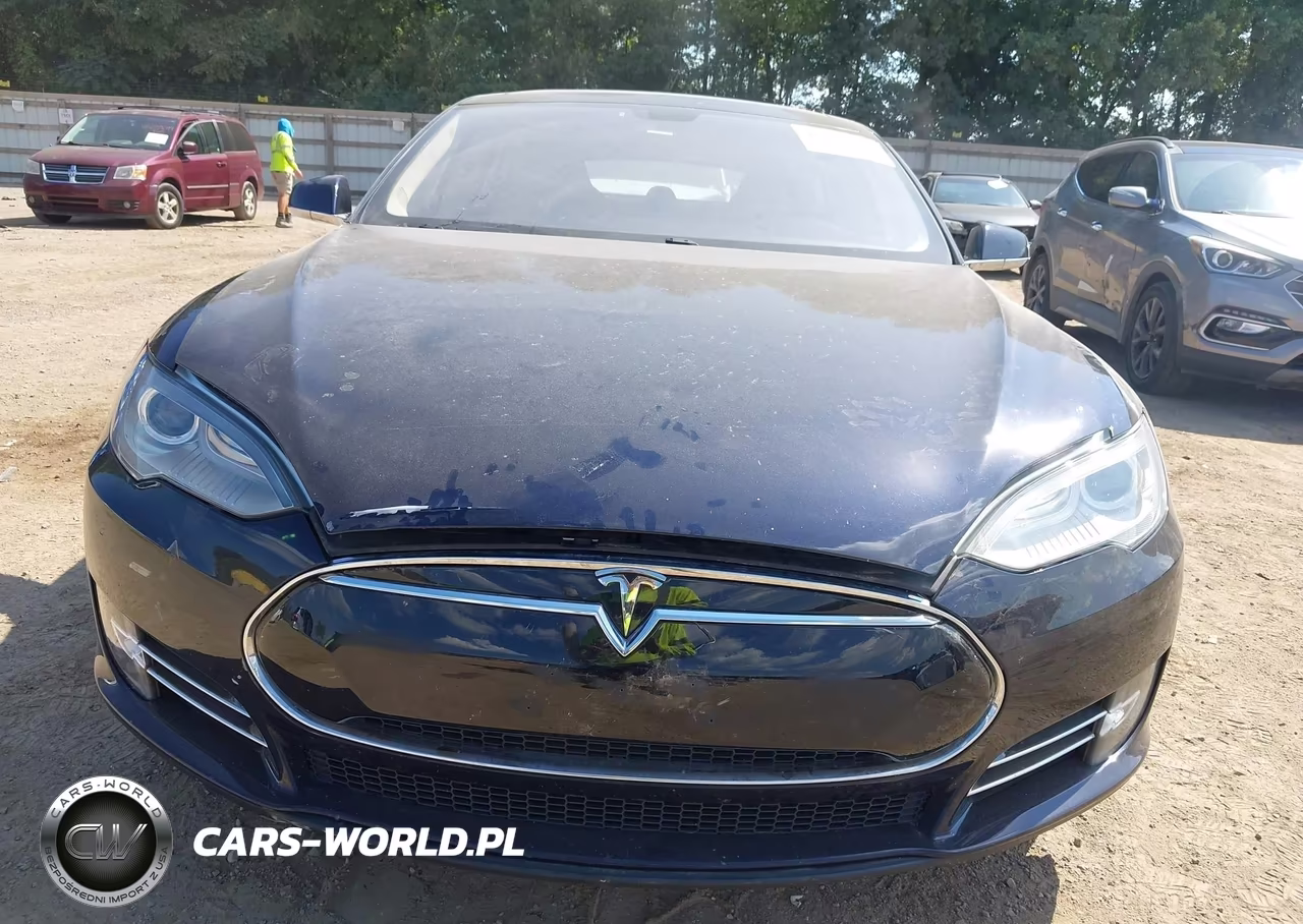 2013 Tesla Model S Performance VIN:5YJSA1DP8DFP16168 - 12