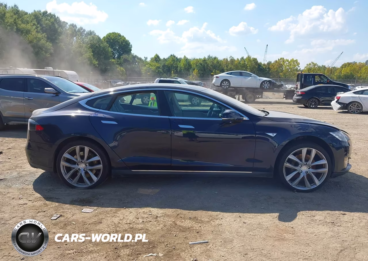 2013 Tesla Model S Performance VIN:5YJSA1DP8DFP16168 - 13