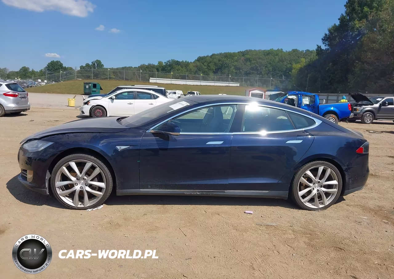 2013 Tesla Model S Performance VIN:5YJSA1DP8DFP16168 - 14