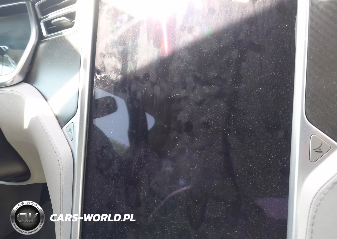 2013 Tesla Model S Performance VIN:5YJSA1DP8DFP16168 - 17