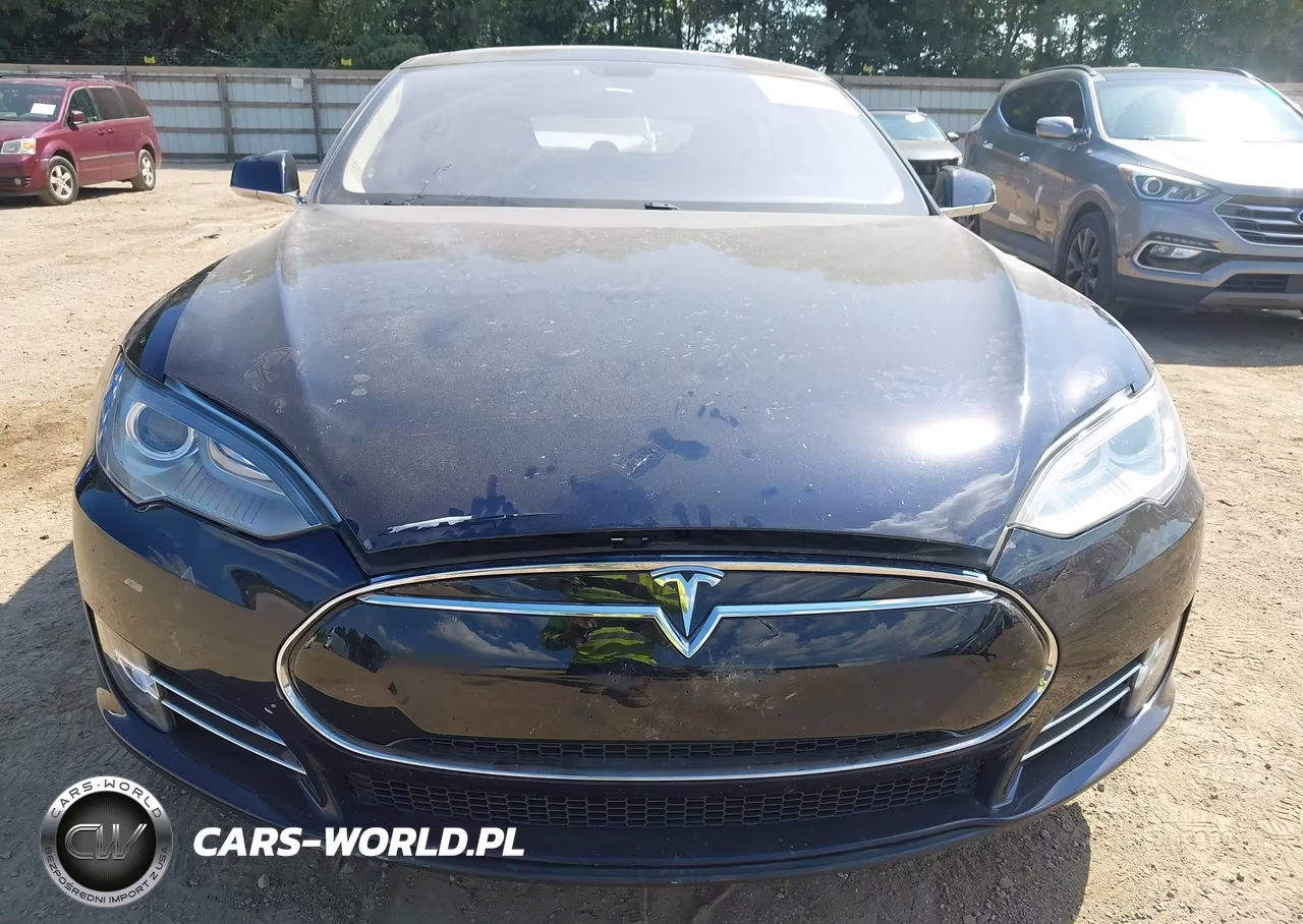 2013 Tesla Model S Performance VIN:5YJSA1DP8DFP16168 - 6