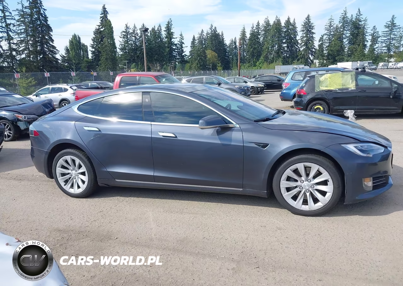 2018 Tesla Model S 100D-75D-P100D VIN:5YJSA1E29JF260471 - 13