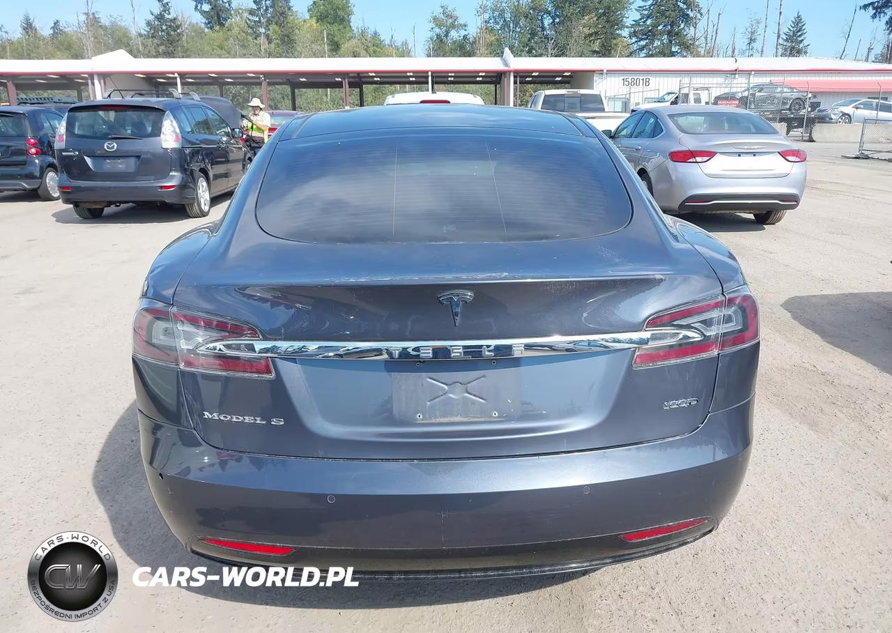 2018 Tesla Model S 100D-75D-P100D VIN:5YJSA1E29JF260471 - 16