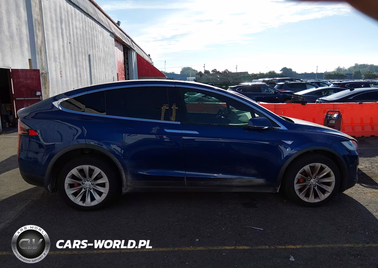 2016 Tesla Model X 60D-P100D-P90D VIN:5YJXCAE47GFS00151 - 13