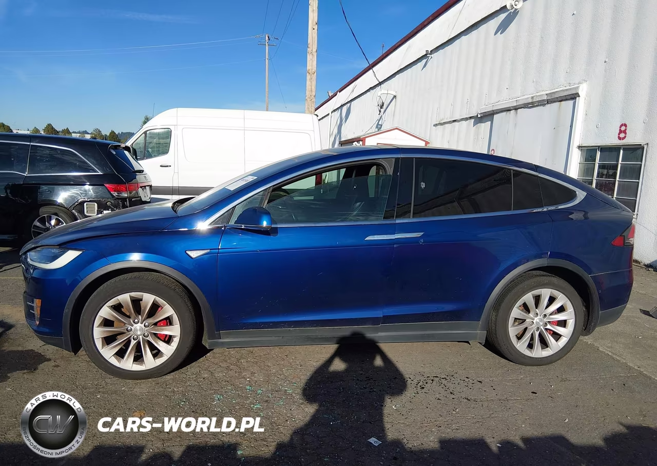 2016 Tesla Model X 60D-P100D-P90D VIN:5YJXCAE47GFS00151 - 14