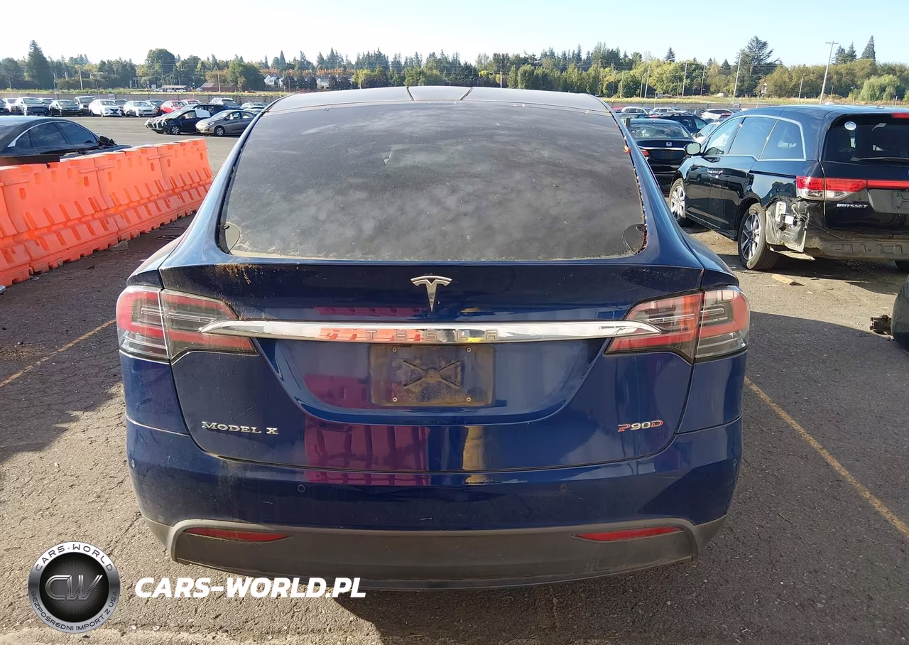 2016 Tesla Model X 60D-P100D-P90D VIN:5YJXCAE47GFS00151 - 16