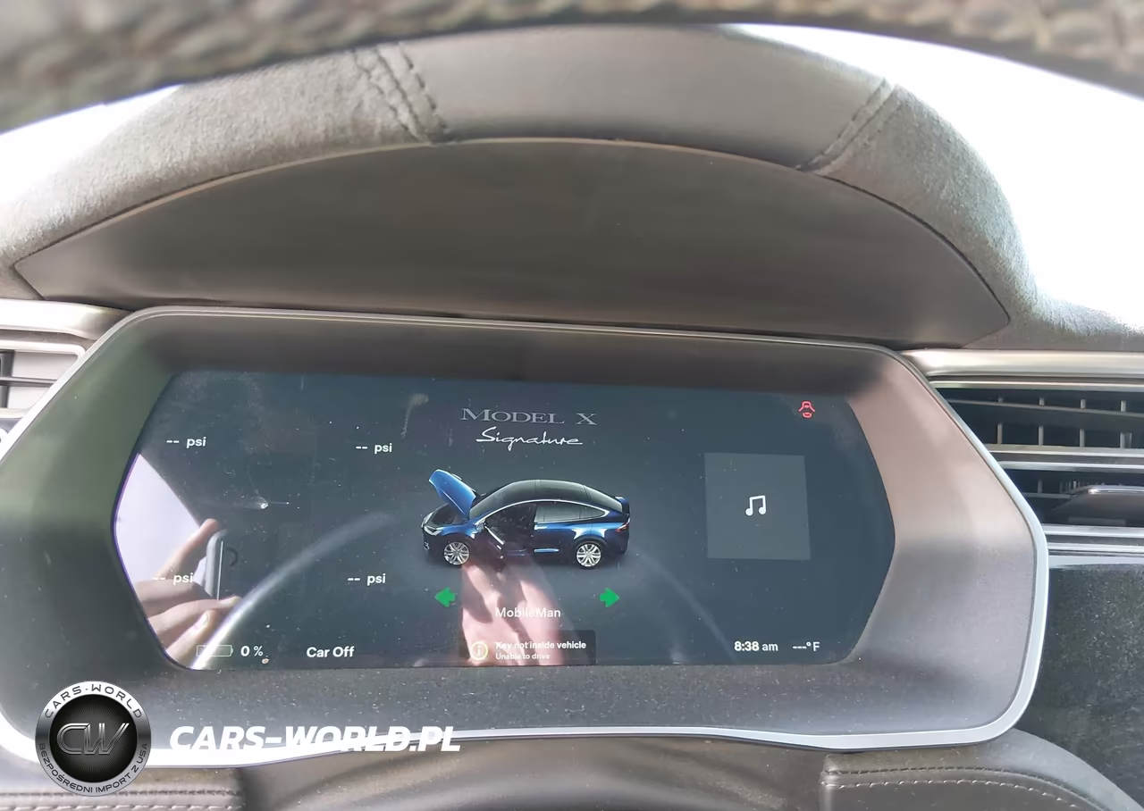 2016 Tesla Model X 60D-P100D-P90D VIN:5YJXCAE47GFS00151 - 7