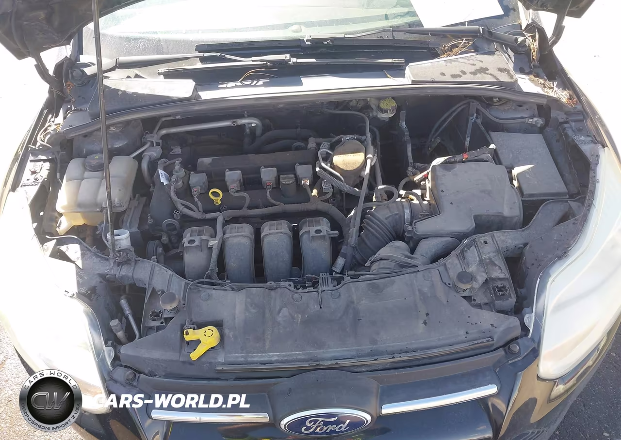 2014 Ford Focus Se VIN:1FADP3F27EL450554 - 10
