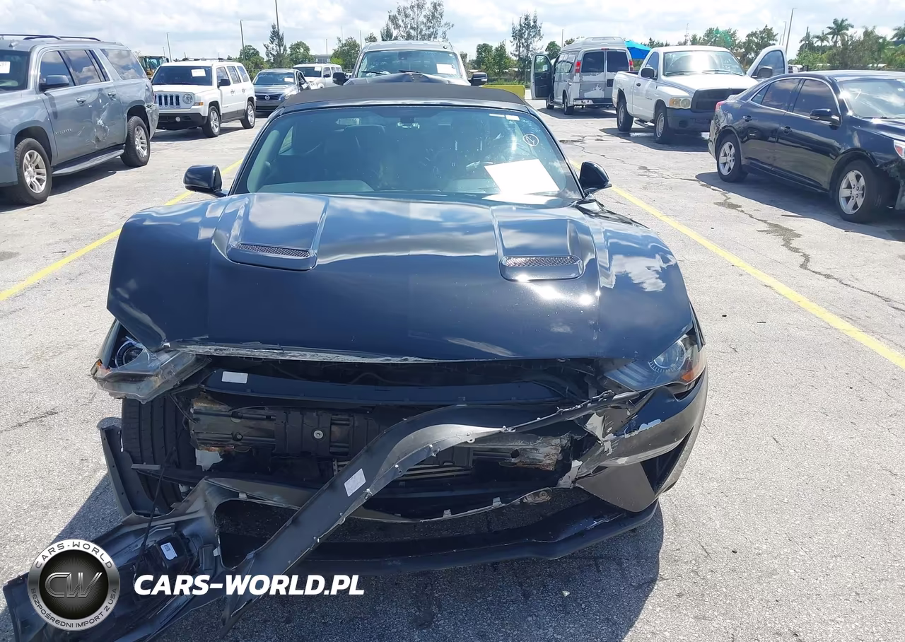 2018 Ford Mustang Ecoboost Premium VIN:1FATP8UH6J5114974 - 12