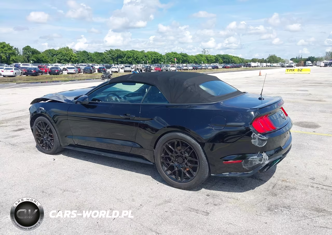 2018 Ford Mustang Ecoboost Premium VIN:1FATP8UH6J5114974 - 3