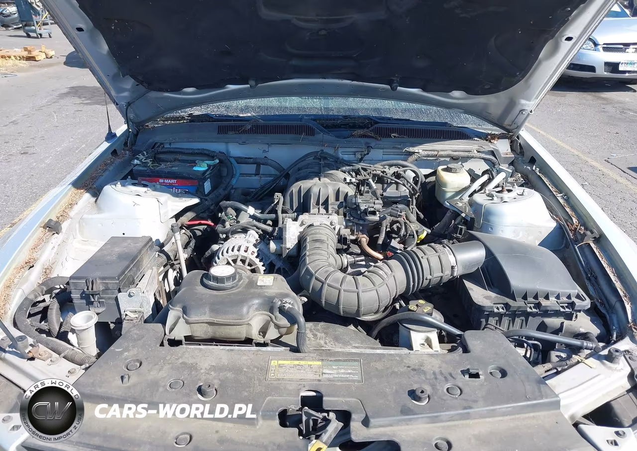 2006 Ford Mustang V6 VIN:1ZVFT84N765126211 - 10