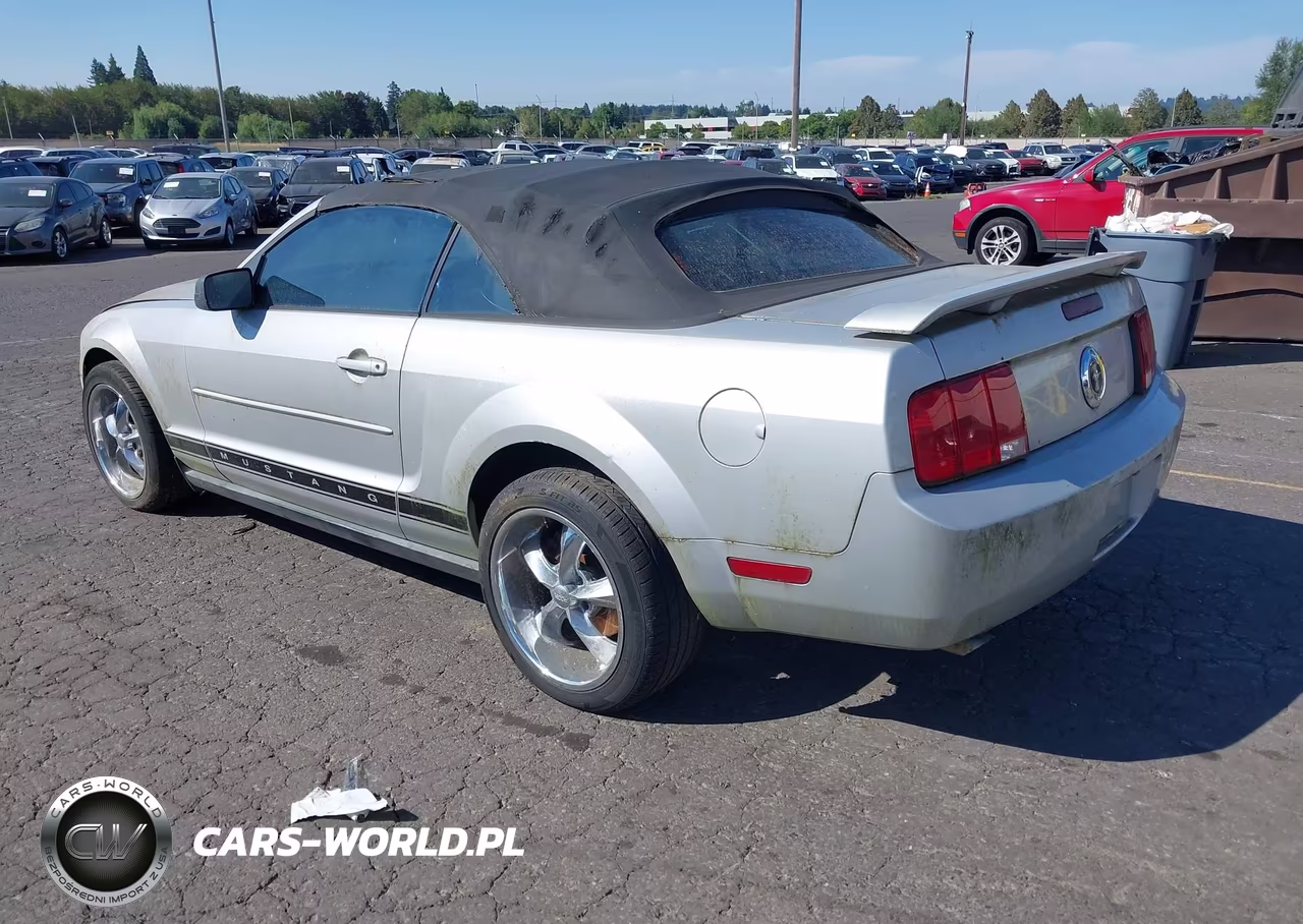 2006 Ford Mustang V6 VIN:1ZVFT84N765126211 - 3