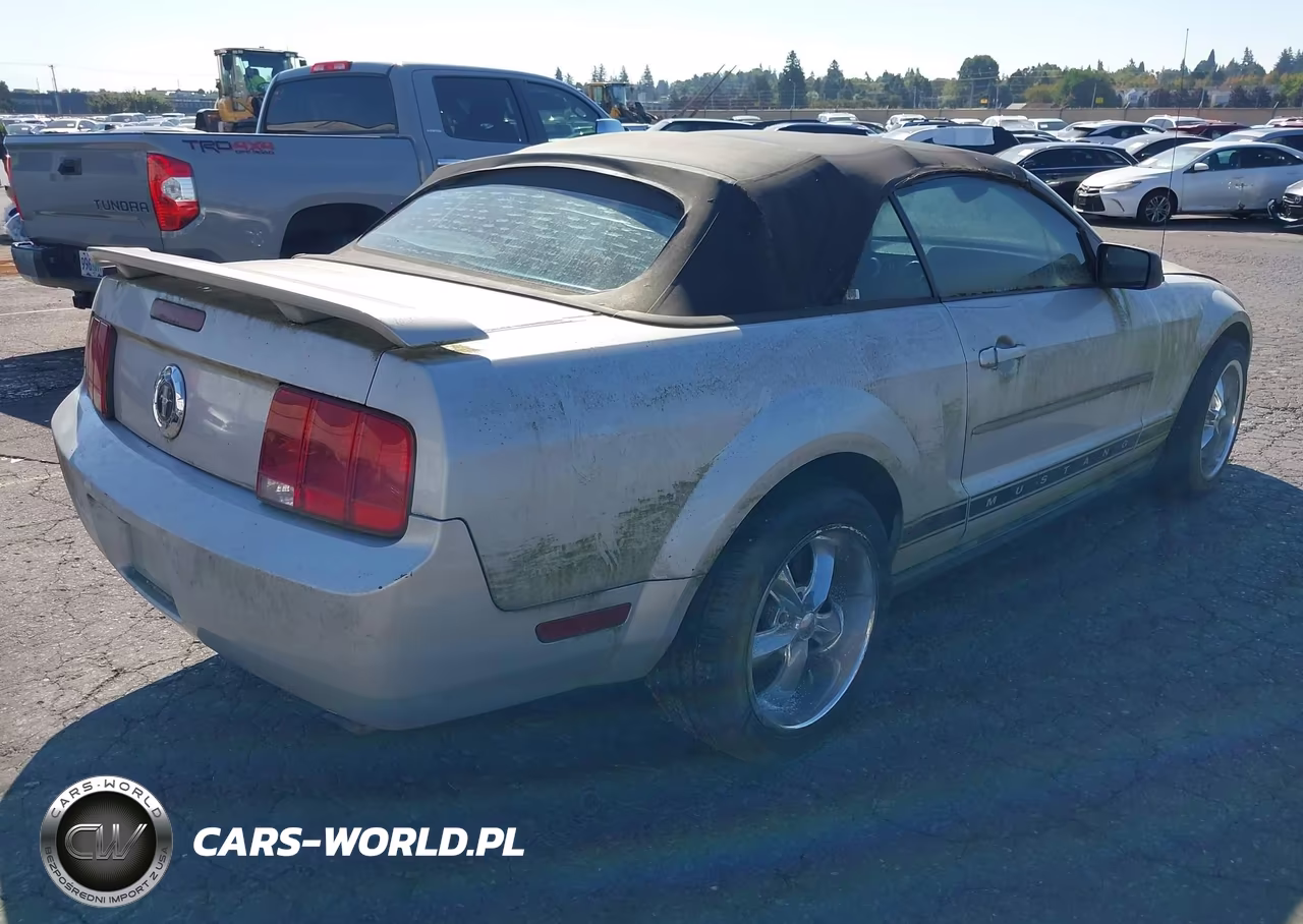 2006 Ford Mustang V6 VIN:1ZVFT84N765126211 - 4